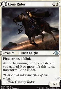 Lone Rider