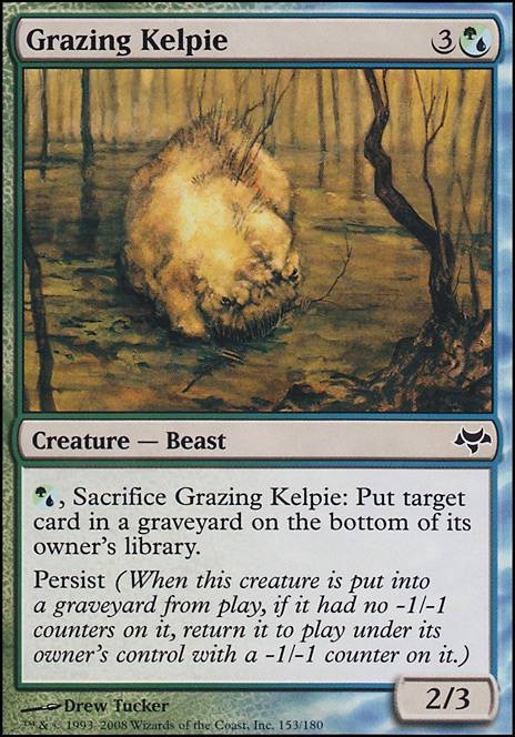 Featured card: Grazing Kelpie