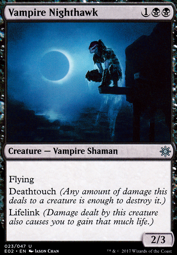 Vampire Nighthawk Vampire Nighthawk