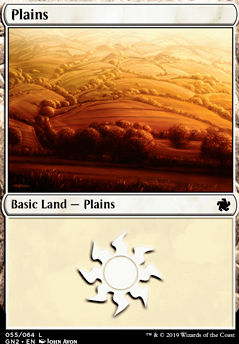 Plains Plains