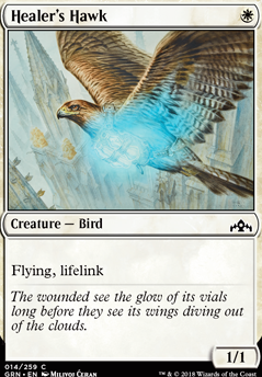 Featured card: Healer's Hawk
