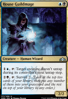 Featured card: House Guildmage