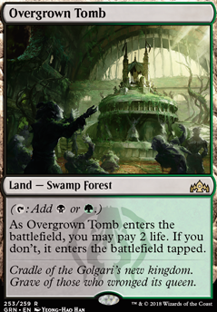 Overgrown Tomb feature for LANDS MATTER