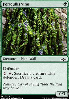 Portcullis Vine Portcullis Vine