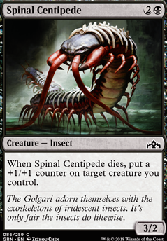 Featured card: Spinal Centipede