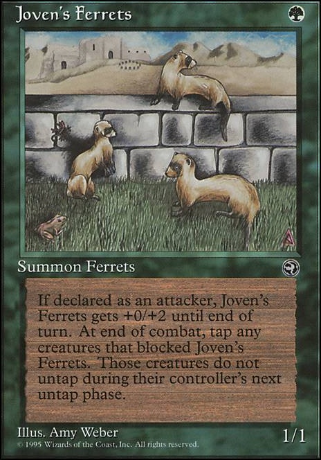 Joven's Ferrets feature for The thieving duo - Homelands best commanders