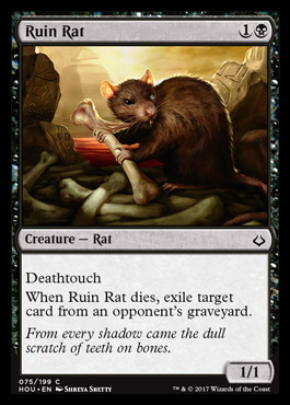Ruin Rat feature for Pog Champion