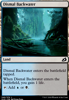 Dismal Backwater Dismal Backwater