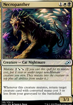 Featured card: Necropanther