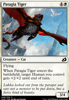 Featured card: Patagia Tiger