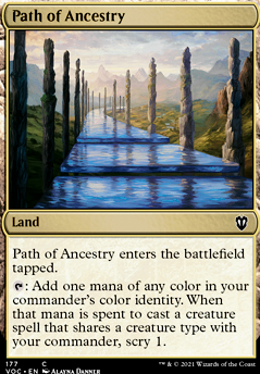 Path of Ancestry feature for Naban Wizard Tribal