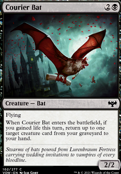 Featured card: Courier Bat
