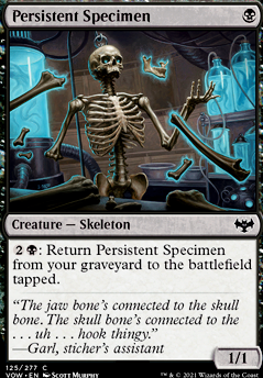 Persistent Specimen feature for Spooky Scary Skeletons