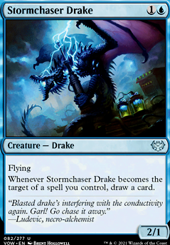 Stormchaser Drake feature for [PEDH] Stormchaser Drake