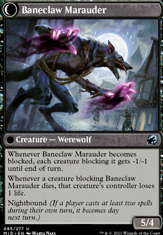 Baneclaw Marauder feature for Innistrad: Lycantropes (Esper Werewolves)