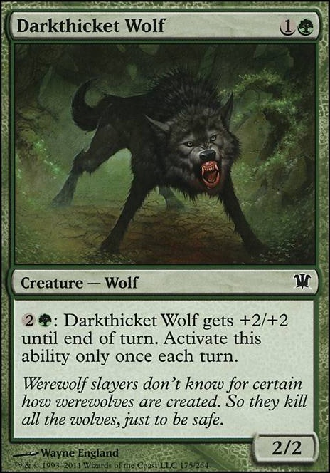 Featured card: Darkthicket Wolf
