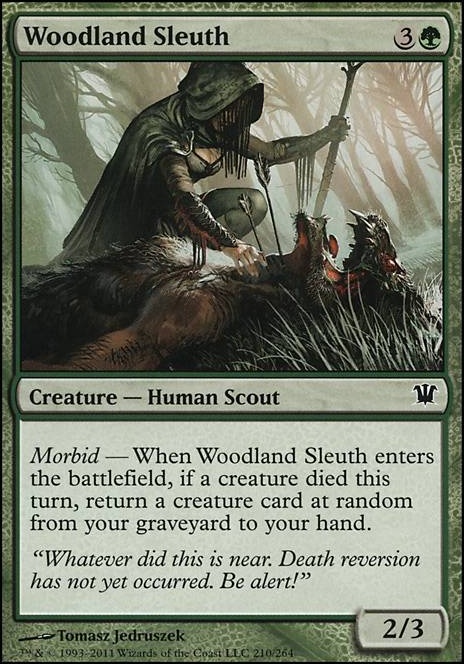 Featured card: Woodland Sleuth