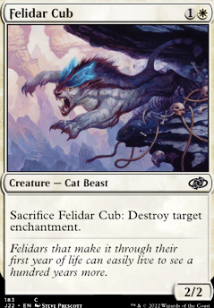 Featured card: Felidar Cub