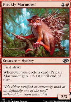 Featured card: Prickly Marmoset