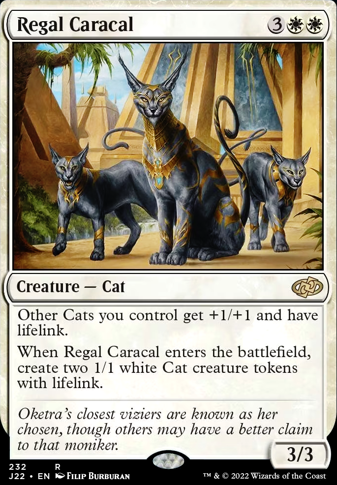 Regal Caracal feature for GW Lifelink Cats