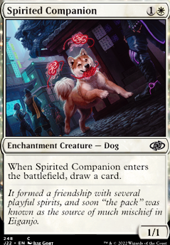 Spirited Companion feature for Blink!
