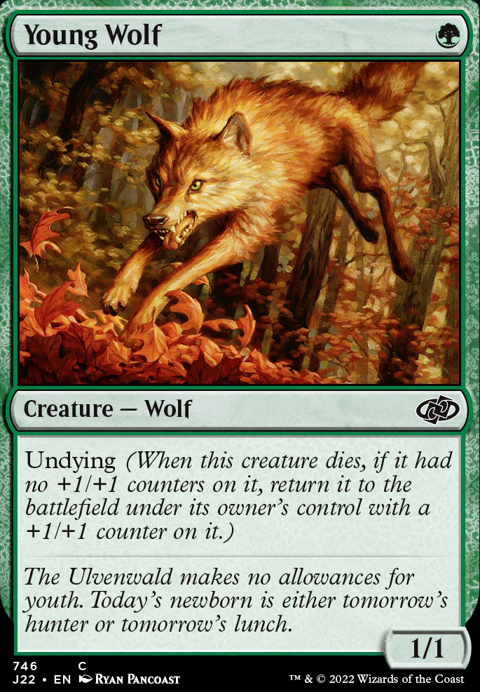Young Wolf feature for $25 MAD - Mutually Assured Destruction