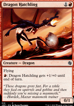 Dragon Hatchling Dragon Hatchling