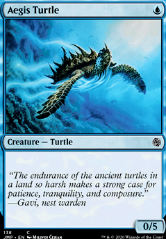 Featured card: Aegis Turtle