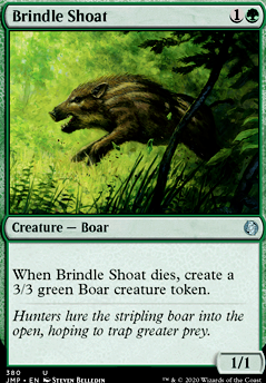 Featured card: Brindle Shoat