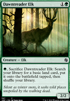 Featured card: Dawntreader Elk