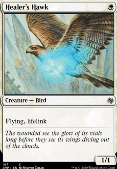 Featured card: Healer's Hawk