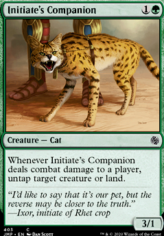 Featured card: Initiate's Companion