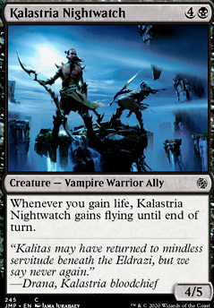 Kalastria Nightwatch Kalastria Nightwatch