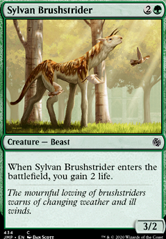 Featured card: Sylvan Brushstrider