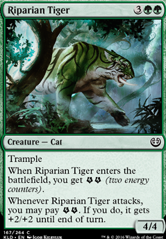 Featured card: Riparian Tiger