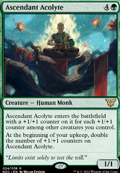 Ascendant Acolyte feature for Double It and Give it to the Next Person (G/W)