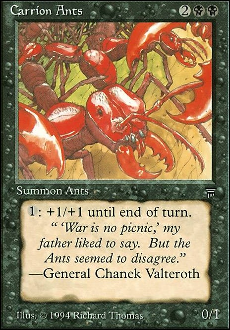 Featured card: Carrion Ants