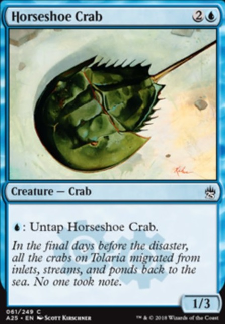 Horseshoe Crab Horseshoe Crab