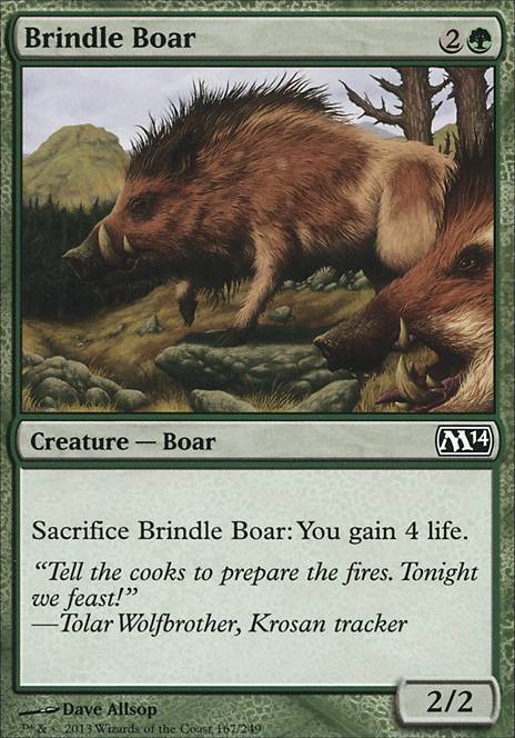 Featured card: Brindle Boar