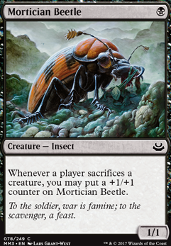 Featured card: Mortician Beetle