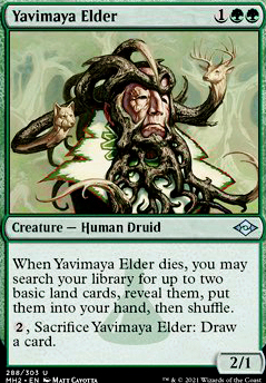Yavimaya Elder Yavimaya Elder