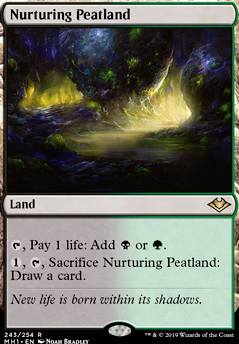 Featured card: Nurturing Peatland
