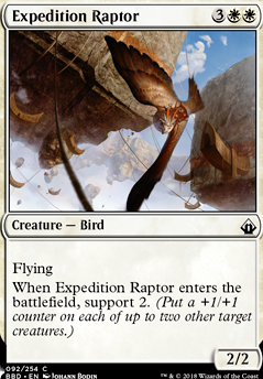 Expedition Raptor Expedition Raptor