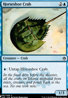 Horseshoe Crab feature for The Crusty Crab