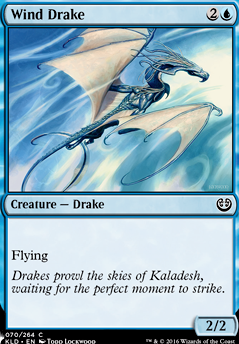 Wind Drake Wind Drake