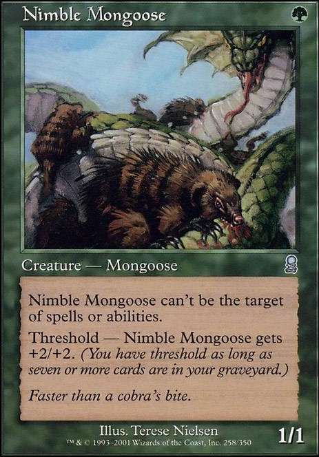 Featured card: Nimble Mongoose