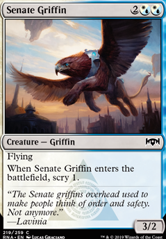 Senate Griffin feature for St Secondment