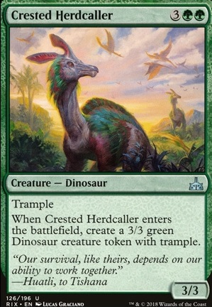 Crested Herdcaller