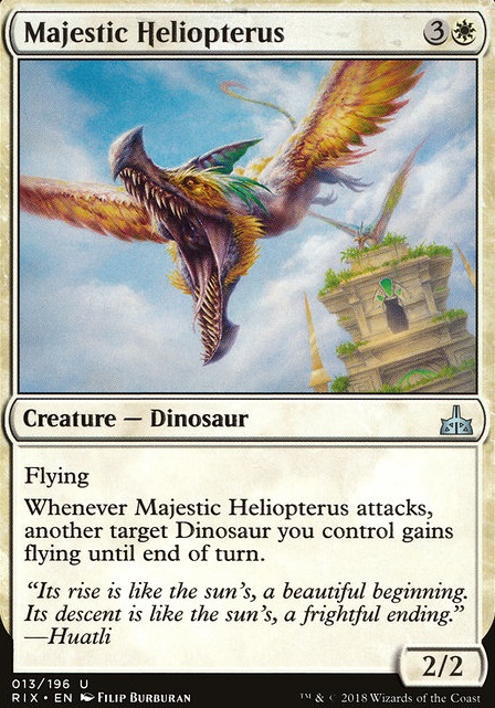 Majestic Heliopterus Majestic Heliopterus