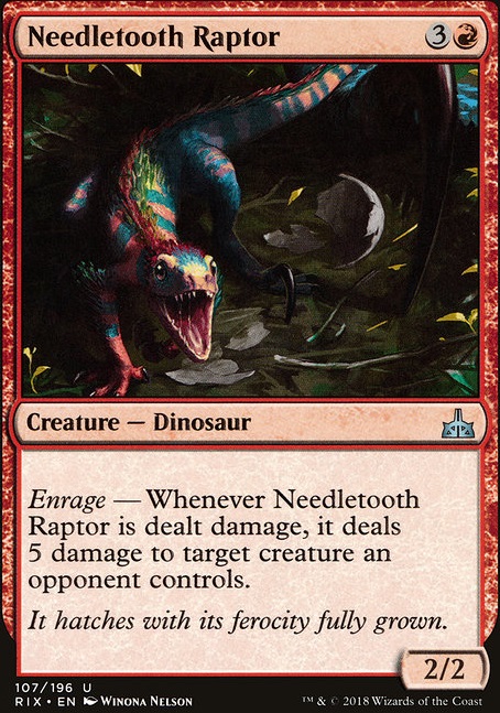 Featured card: Needletooth Raptor